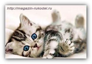 Алмазная мозаика — алмазная вышивка